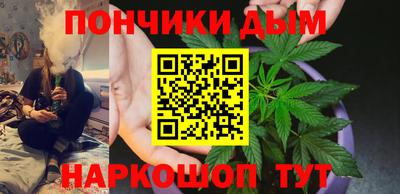 сатива Краснодар