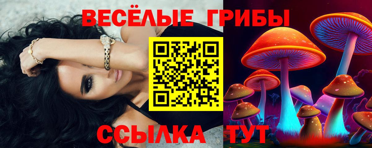 Псилоцибиновые грибы GOLDEN TEACHER  Вход с VPN  дарнет шоп  Тавда 